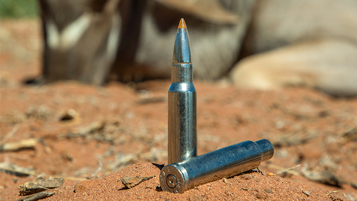 Ammo beauty shot in Namibia