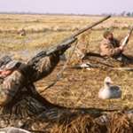 20103101615-shotgun_m.jpg