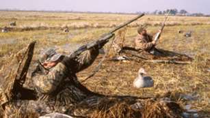 20103101615-shotgun_m.jpg