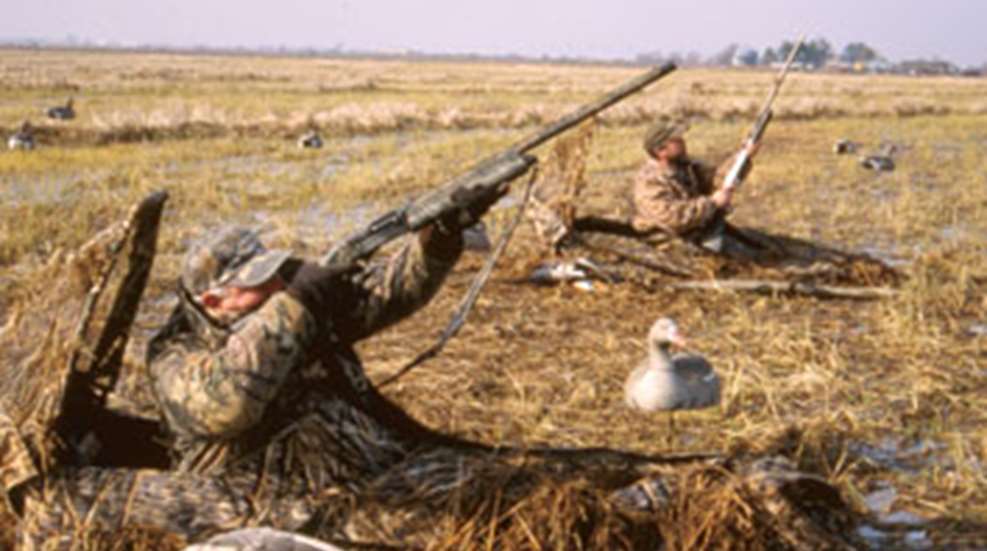 20103101615-shotgun_m.jpg