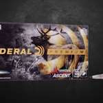 btb-28-nosler_lead.jpg