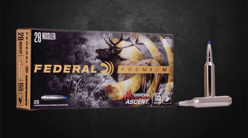 btb-28-nosler_lead.jpg