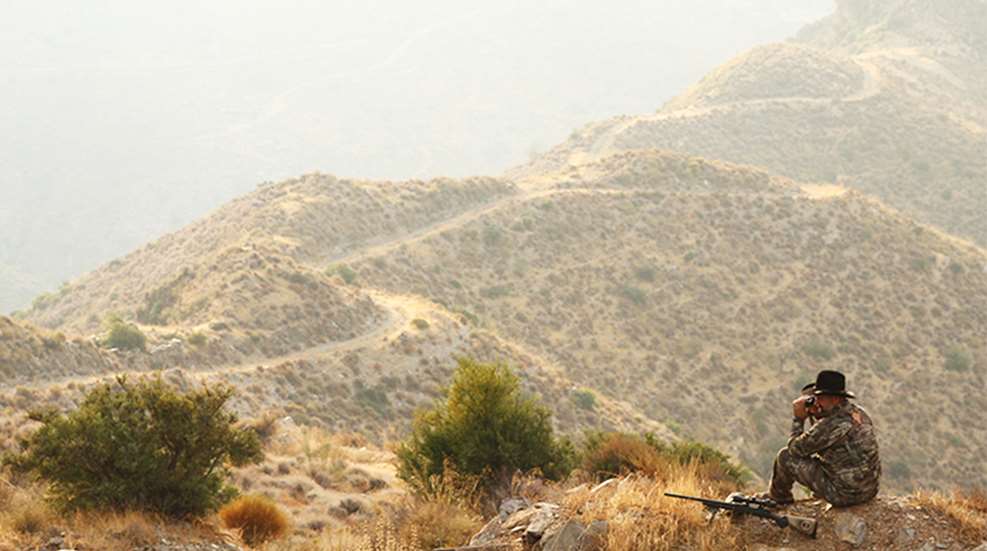 the-bergara-and-the-ibex-ram_lead.jpg
