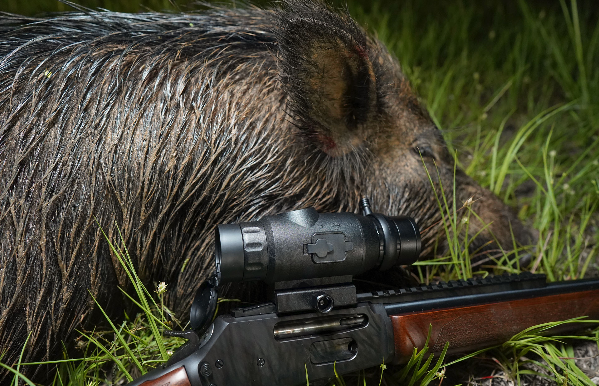 A Sightmark Wraith Mini, at about $1,500 retail, is a good place to start for most hunters looking to enter the world of thermal hunting.