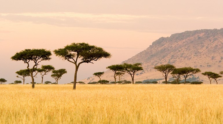 Say ‘Yes’ to Adventure | An Official Journal Of The NRA