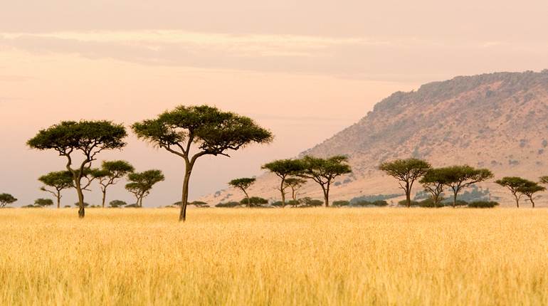 Say ‘Yes’ to Adventure | An Official Journal Of The NRA