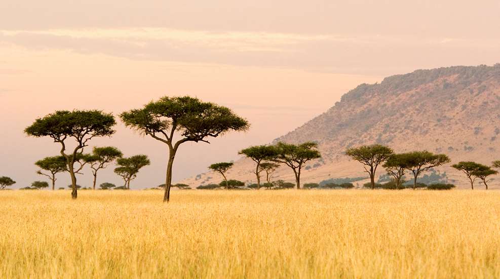 Say Yes To Adventure Lead