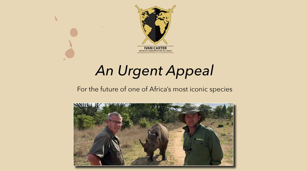 Ledewildlife Conservation Anti Rhino Poaching Appeal