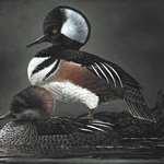 main2021-usfws-junior-duck-stamp-winner.jpg