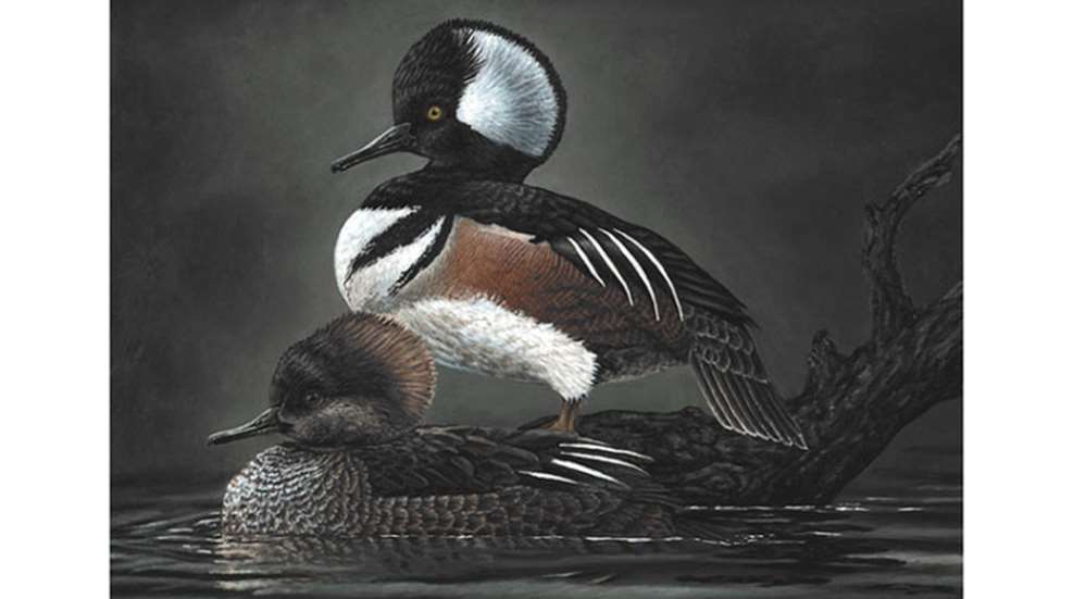 main2021-usfws-junior-duck-stamp-winner.jpg