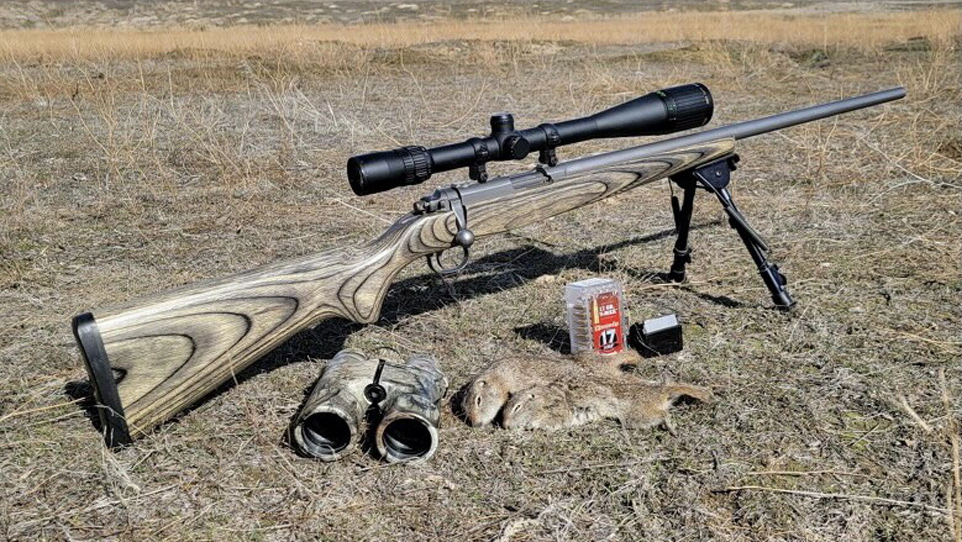 Ground Squirrels