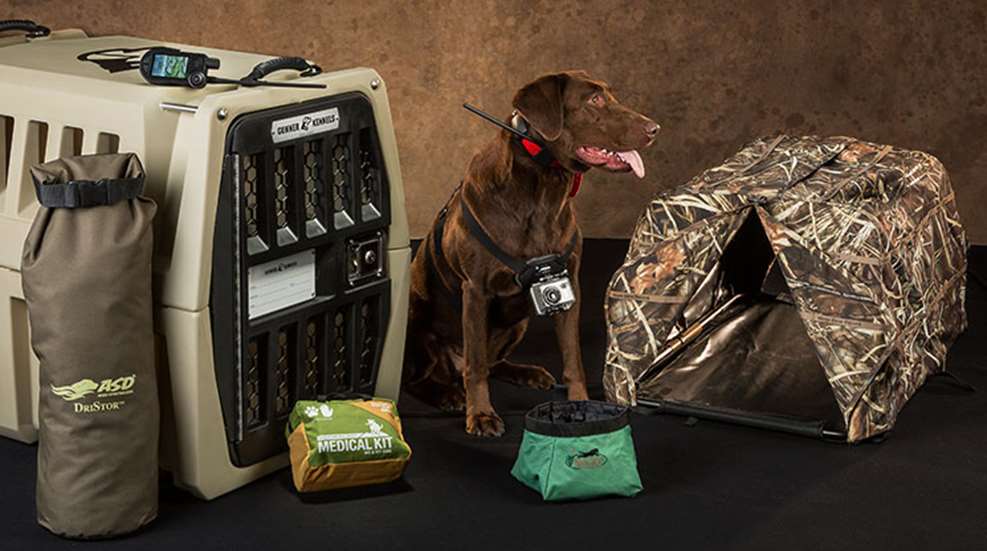 must-have_gundog_gear_f.jpg