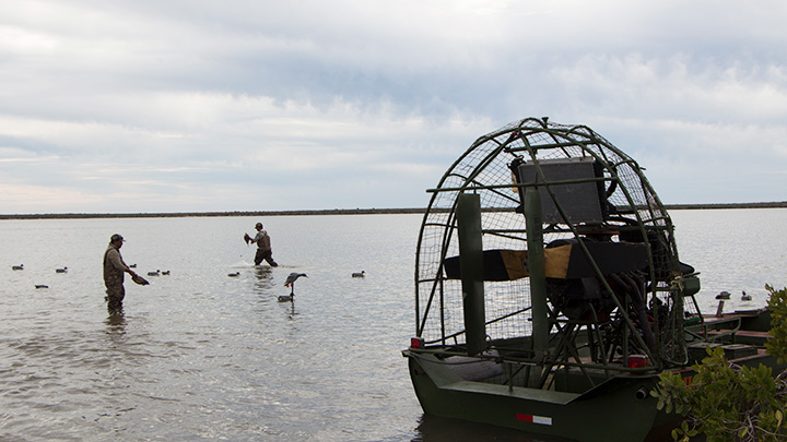 Hunters spreading decoys