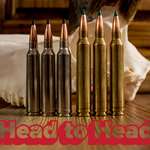 Logolead Photo 7Mm RM And 7STW