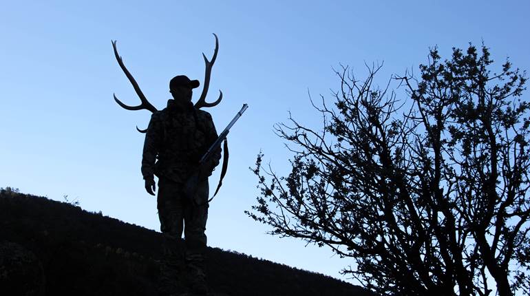 5 Things I Wish Someone Had Told Me Before My First Elk Hunt | An Official Journal Of The NRA