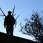 5 Things I Wish Someone Had Told Me Before My First Elk Hunt | An Official Journal Of The NRA