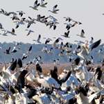 USFWS Seeks Public Input To Improve Access To Federal Lands A