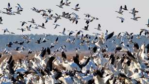 USFWS Seeks Public Input To Improve Access To Federal Lands A