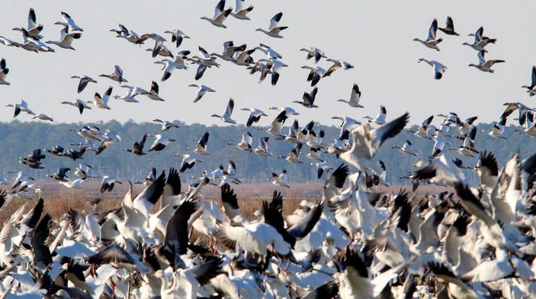 USFWS Seeks Public Input to Improve Access to Federal Lands | An Official Journal Of The NRA