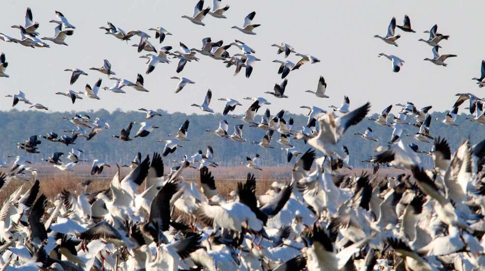 USFWS Seeks Public Input To Improve Access To Federal Lands A