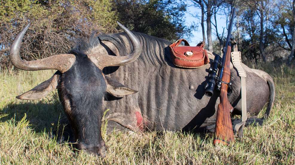 Top 5 Affordable African Plains Game Species Lead