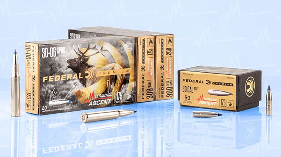 hardware-federal-premium-terminal-ascent_lead.jpg