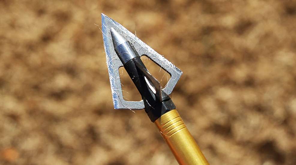 dullbroadheads_lead.jpg