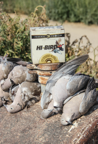 Dead pigeons next to a box of Federal shotshells