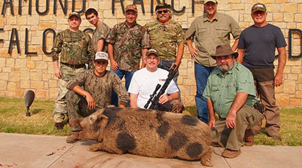 hogs_doves_west_texas_was_f.jpg