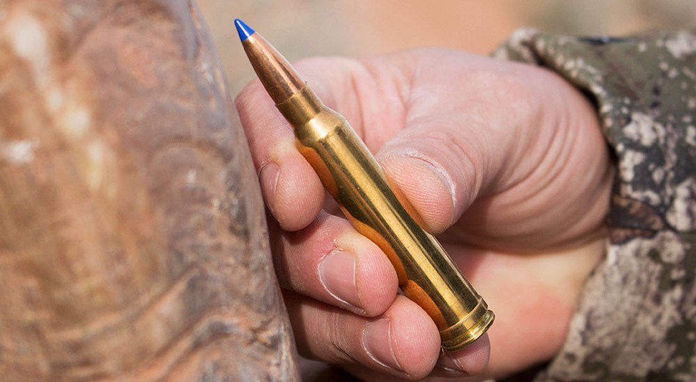 Hand Holding Norma BondStrike .300 Winchester Magnum Ammunition Cartridge