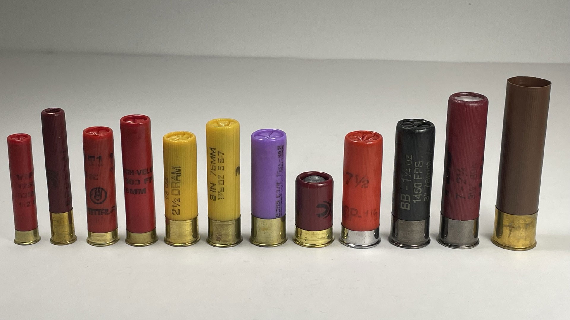 Shotgun shells