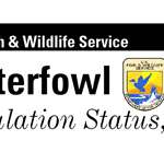 2024 Waterfowl Population Survey Results