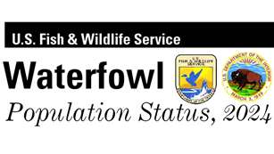 2024 Waterfowl Population Survey Results