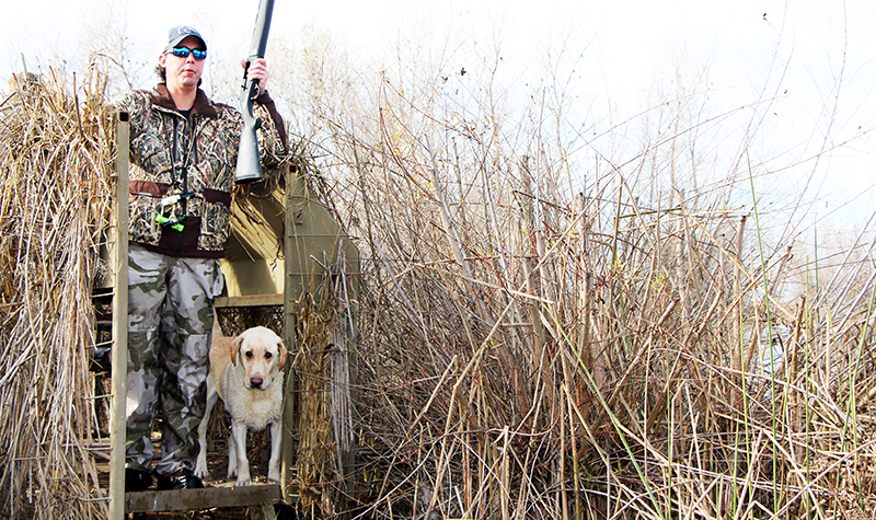 Duck Blind