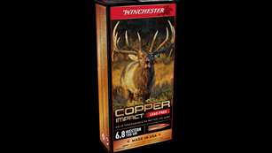 MAIN Copper Impact