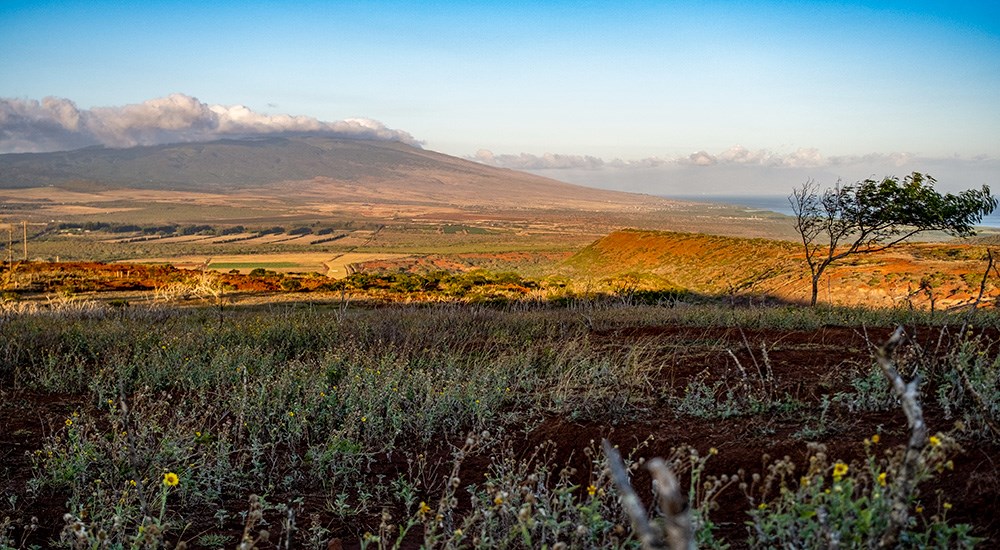 Pastoral view of the Hawaiian island of Molokai.