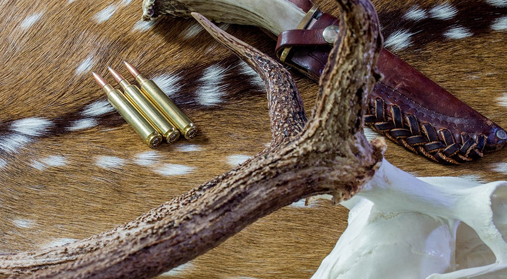 6.5 WBY RPM ammunition cartridges laying on axis deer hide rug.