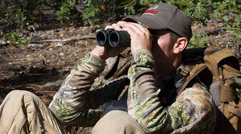 summer_deer_scouting.jpg