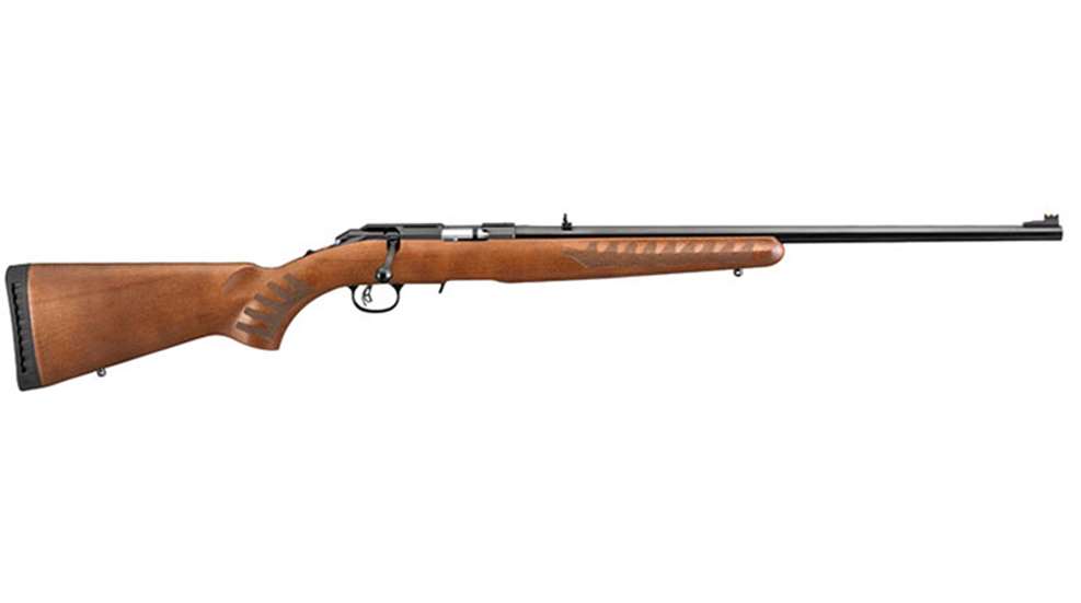 ruger_american_rimfire_f.jpg