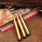 Ode To The 300 H&H Magnum Lead