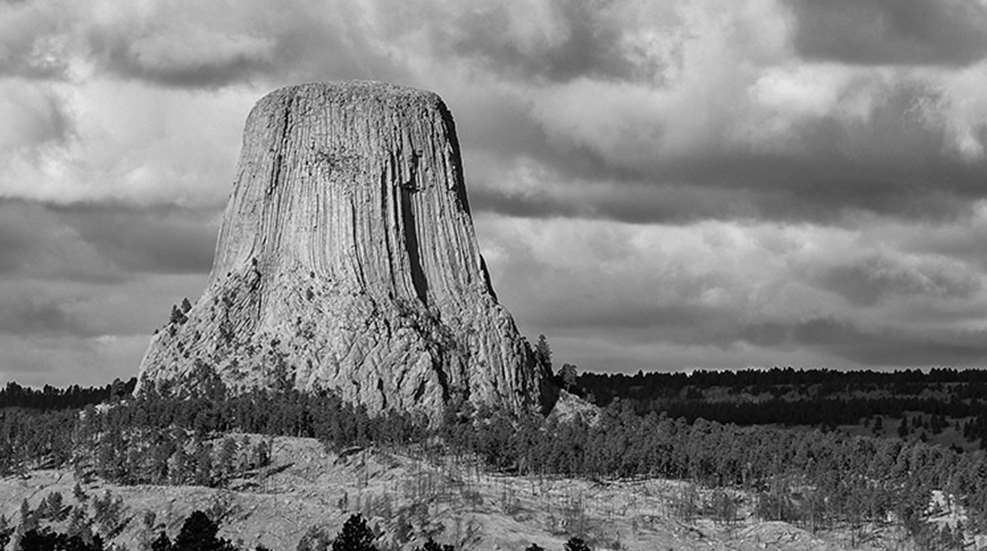 deer_beneath_devils_tower_f.jpg