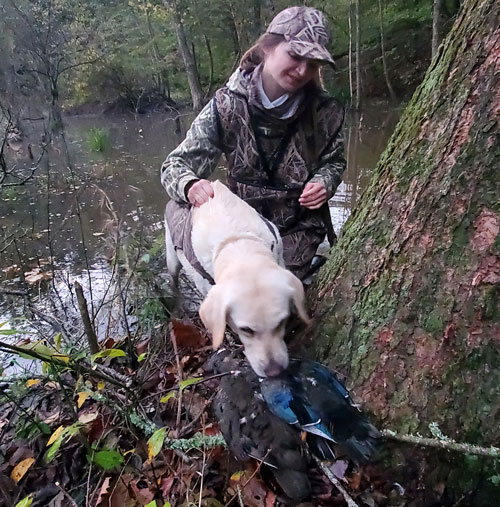 Hunting with lab and kid