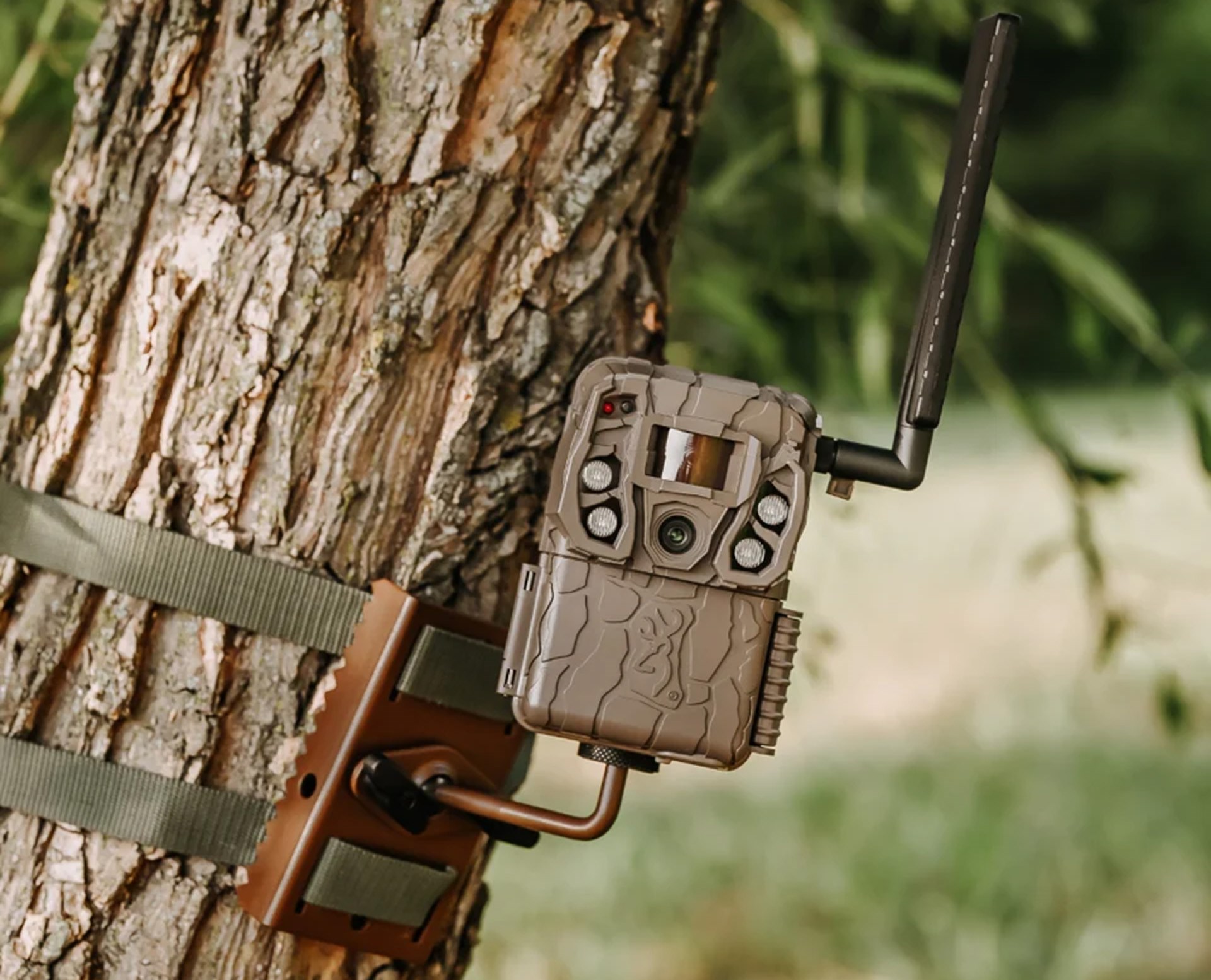 Defender Vision Pro on tree