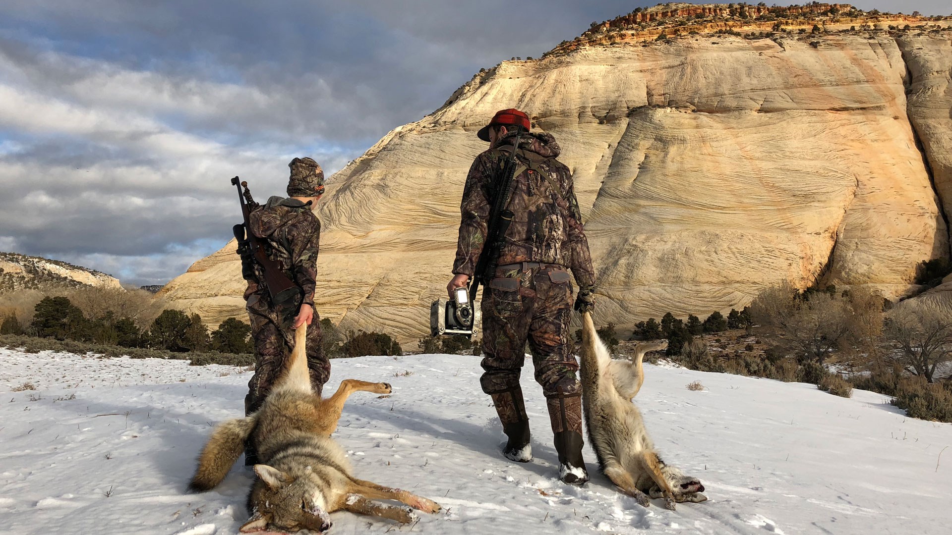 Pair of hunters dragging coyotes toward butte