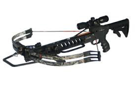 Parker StingRay Review - Compound Crossbow