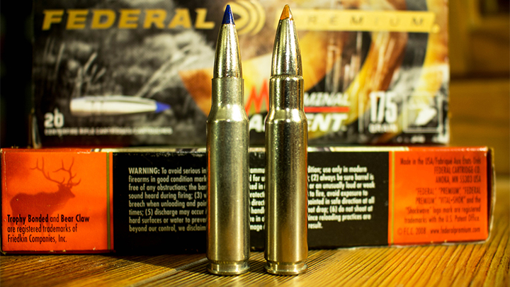 .308 Winchester and .338 Federal Ammunition Side-by-Side