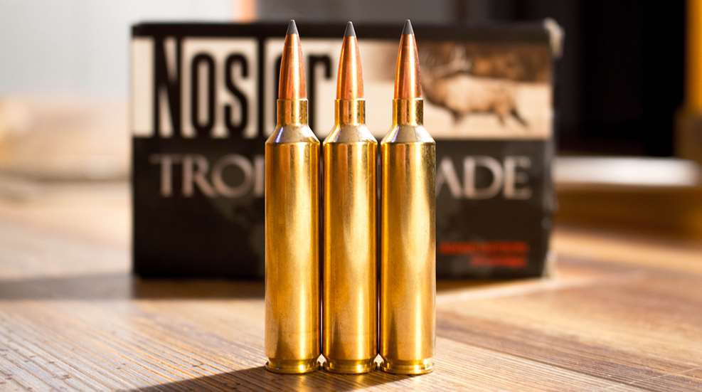 BTB 26 Nosler Lead