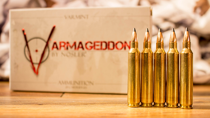 .204 Ruger Nosler Varmageddon Ammunition