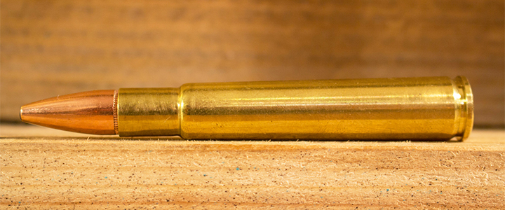 .350 Rigby Magnum Cartridge