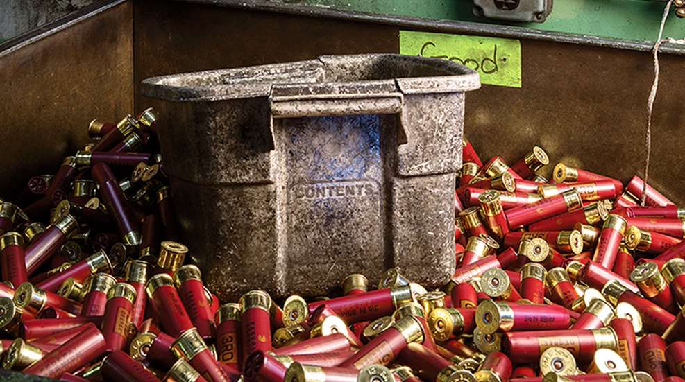 ammo_goes_custom_f.jpg